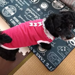 つきまゆさんの作品