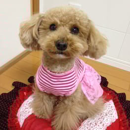 らくすさんの作品