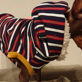 ちょこくろさんの作品