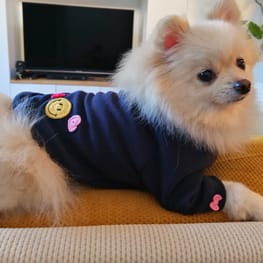 ベーシックラグランTシャツ / millacra / 愛犬のための犬服、ペット服 