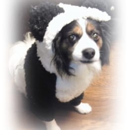 saccoさんの作品