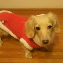 mamakasuさんの作品