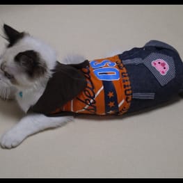 usakorinさんの作品