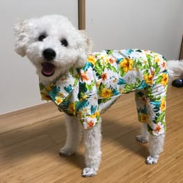 hirosanさんの作品