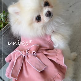 *pomechi*さんの作品