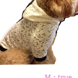 M・trueさんの作品