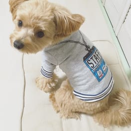 さちかさんの作品