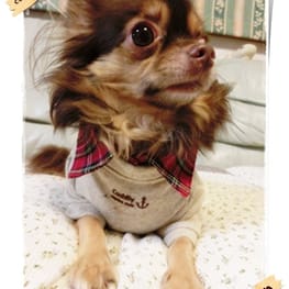 roncoさんの作品