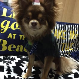 chicchi315さんの作品