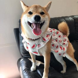 ユウさんの作品