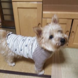 ちょここさんの作品