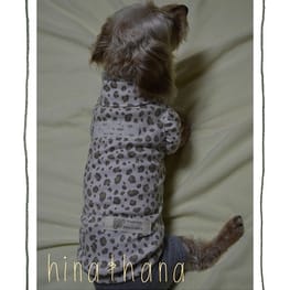 ひなはなさんの作品