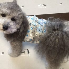 marimoさんの作品