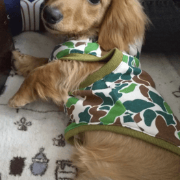 らっぷちゃんさんの作品