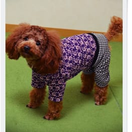 ganmoslabさんの作品