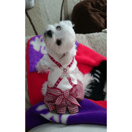 ひめママさんの作品