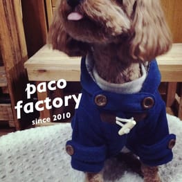 パコさんの作品