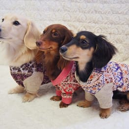 mamehanasoraさんの作品