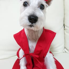 カヨリンさんの作品