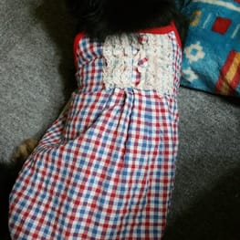 ちみさんの作品