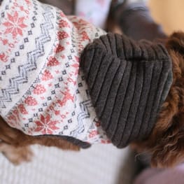 akizoo88さんの作品