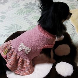 はなぴょんさんの作品