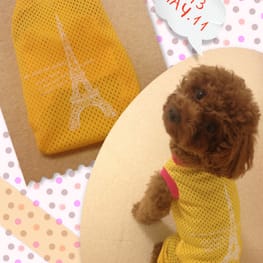 yuccoさんの作品