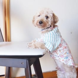 Natsuさんの作品