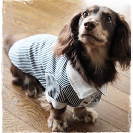 akizoo88さんの作品