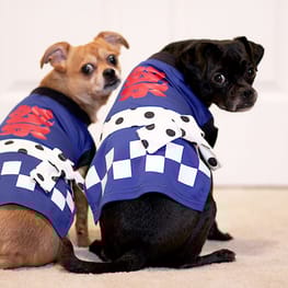 Princessmiyaさんの作品