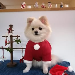 にこママさんの作品