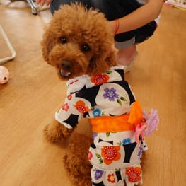 ちみこママさんの作品