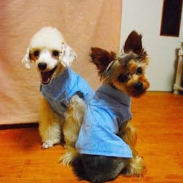 LabiOliママさんの作品