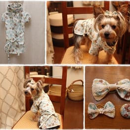 toshiさんの作品