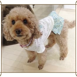 blancoさんの作品