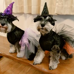 Lea&Miaさんの作品