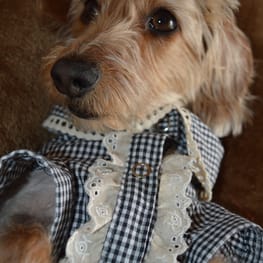 ひなはなさんの作品