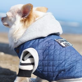 ノゾフィスさんの作品