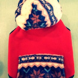 ireneさんの作品