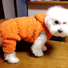 みちもこさんの作品