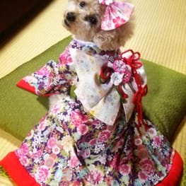 えりんさんの作品