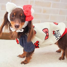 mamehanasoraさんの作品