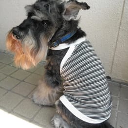 ひろ姉さんの作品