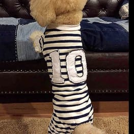 rairuさんの作品