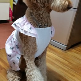 びすさんの作品