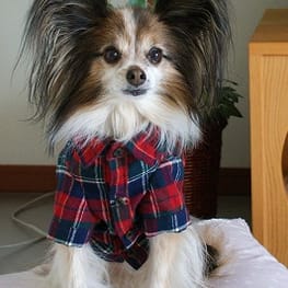 はるさんの作品