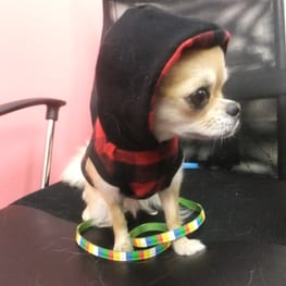 テンミーさんの作品