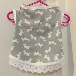 Coconutさんの作品