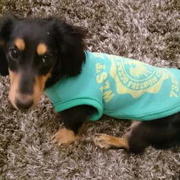 marotan3336さんの作品