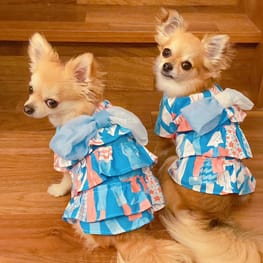 犬服のハンドメイド作品-みんなのかわいい手作り犬服 / 愛犬のための犬
